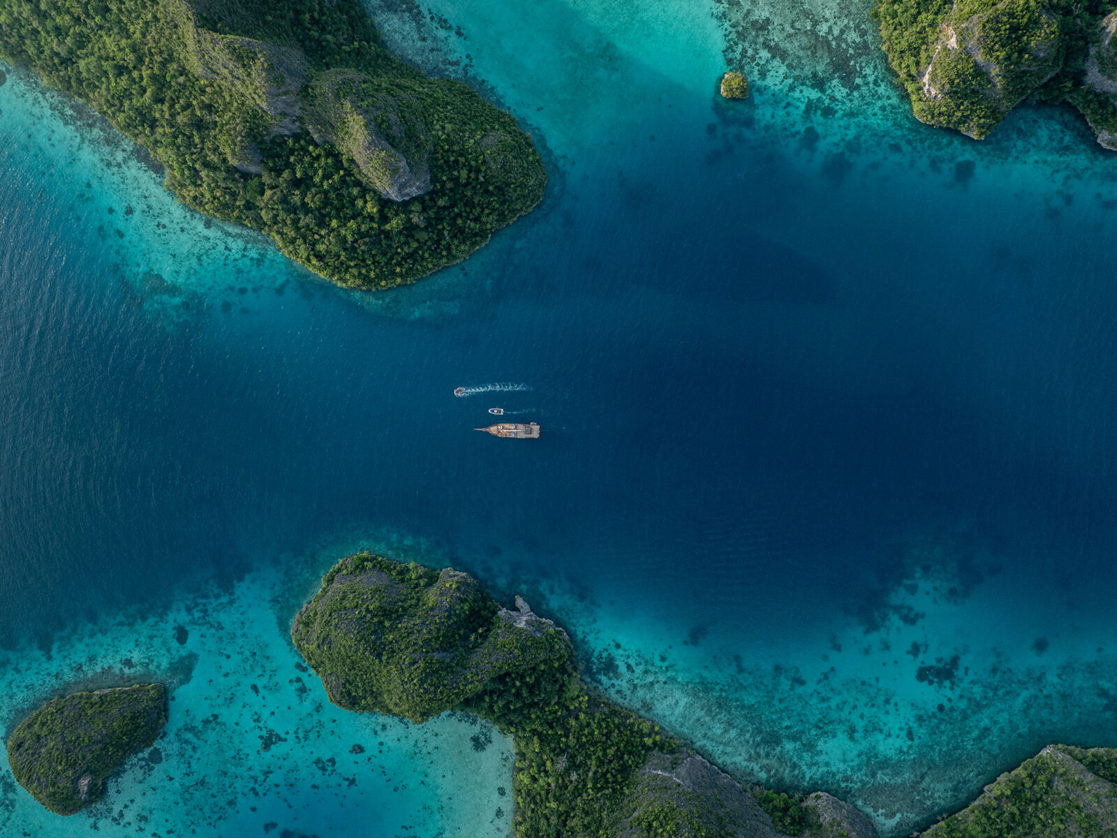 Sequoia aerial shot cruising indonesia