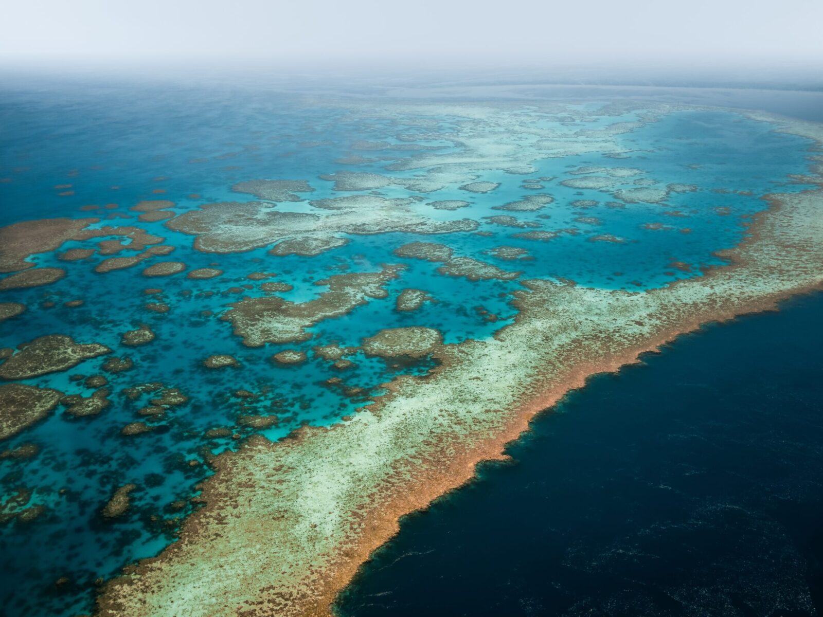 Aerial,View,Of,Great,Barrier,Reef,Coral,Reef,Structure,In