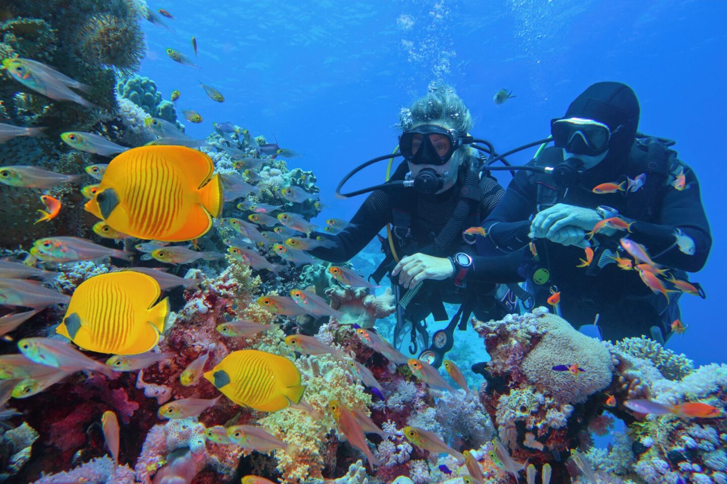 Scuba Diving Yacht Charter