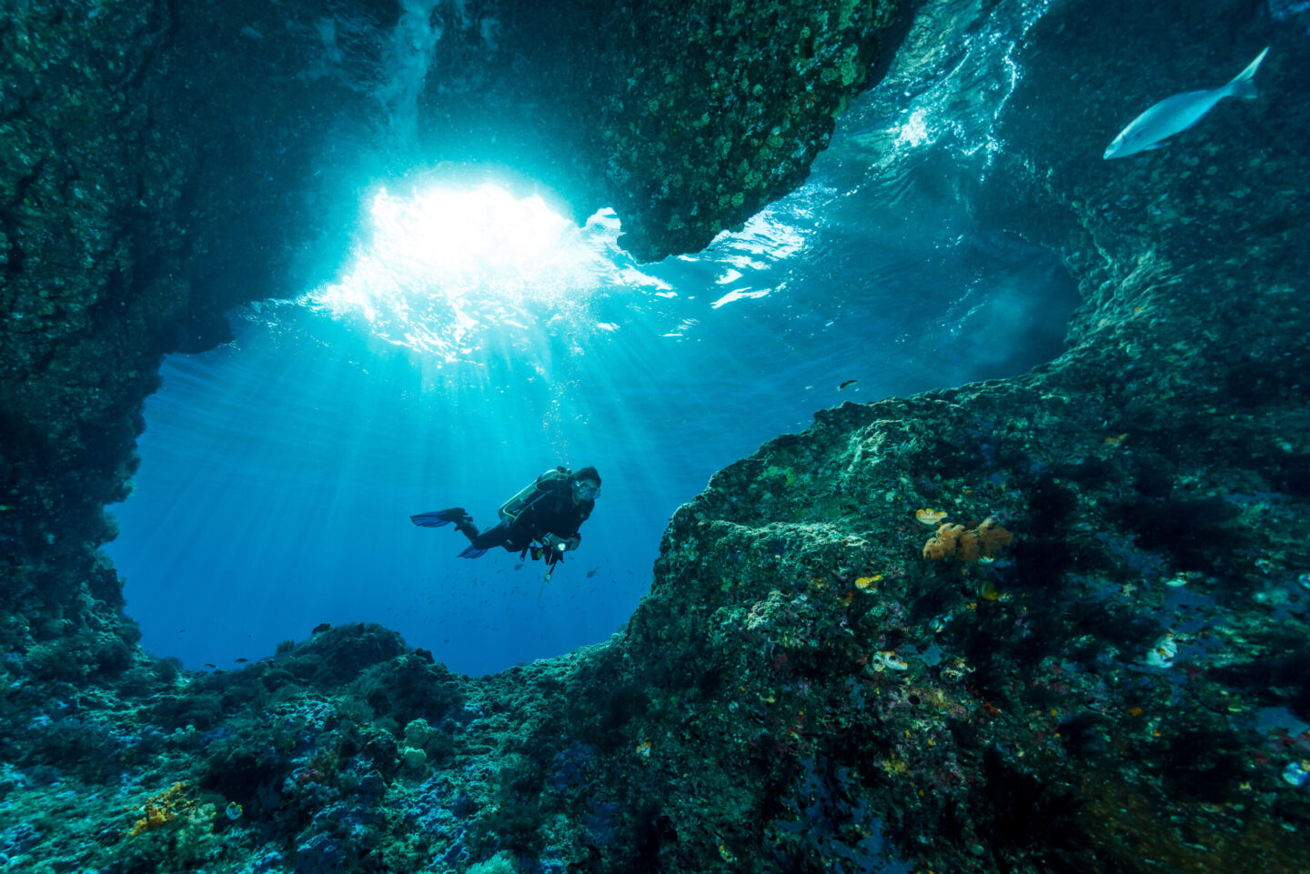 Diving in Raja Ampat Indonesia with light coming through the surface