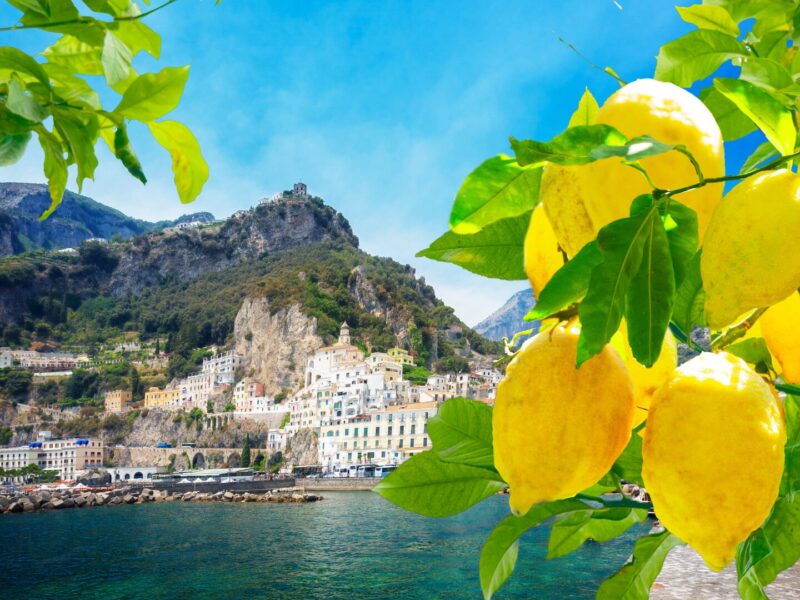 ITALY-AMALFI-COAST-COASTAL-TOWN-VIEW-THROUGH-LEMON-TREES