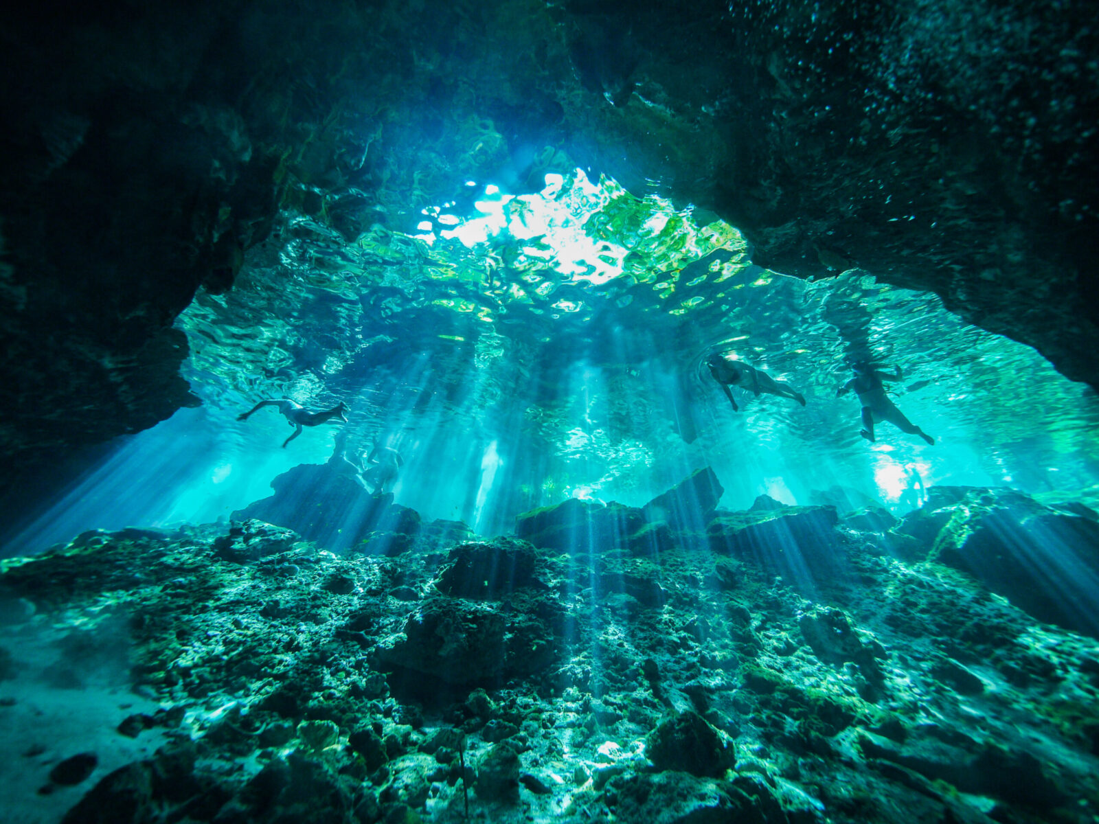 Cenote,Scuba,Diving,,Underwater,Cave,In,Mexico