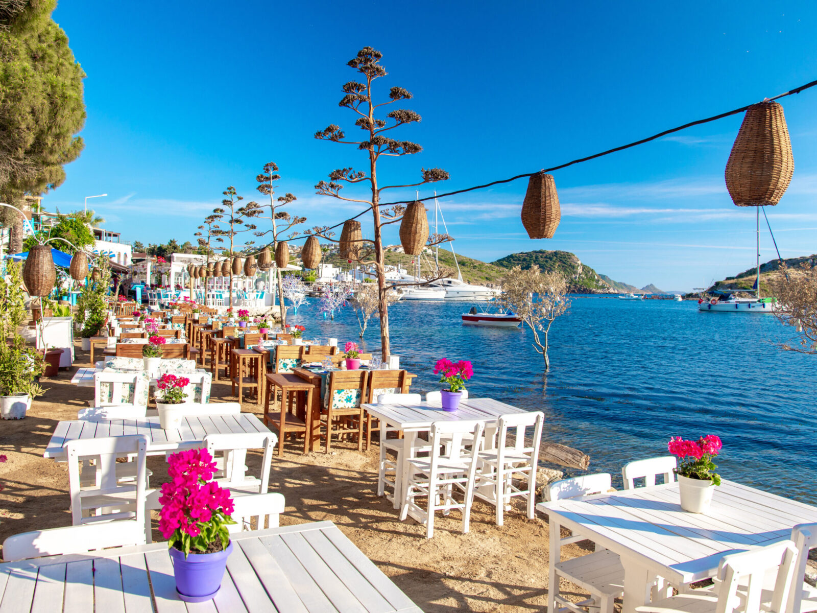 View,Of,Restaurant,Or,Cafe,And,Bougainvillea,Flowers,On,Beach