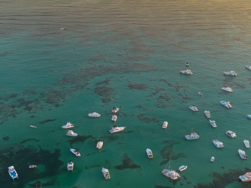 yachts in sea stock