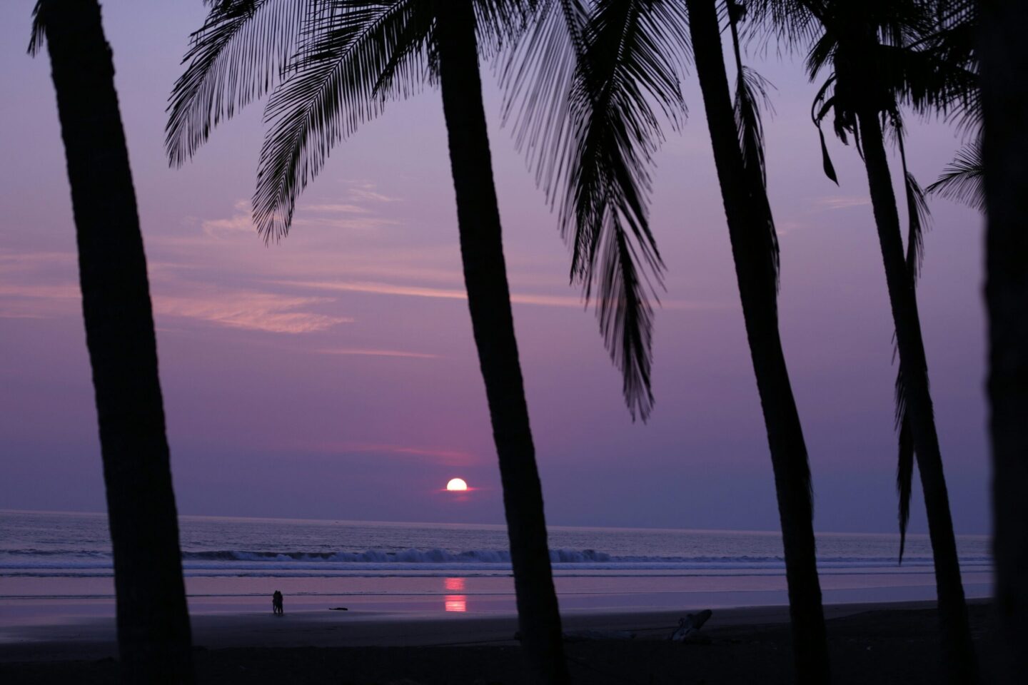 Sunsets worth travelling for: Costa Rica ocean sunset with purple sky and palm tree silhouettes