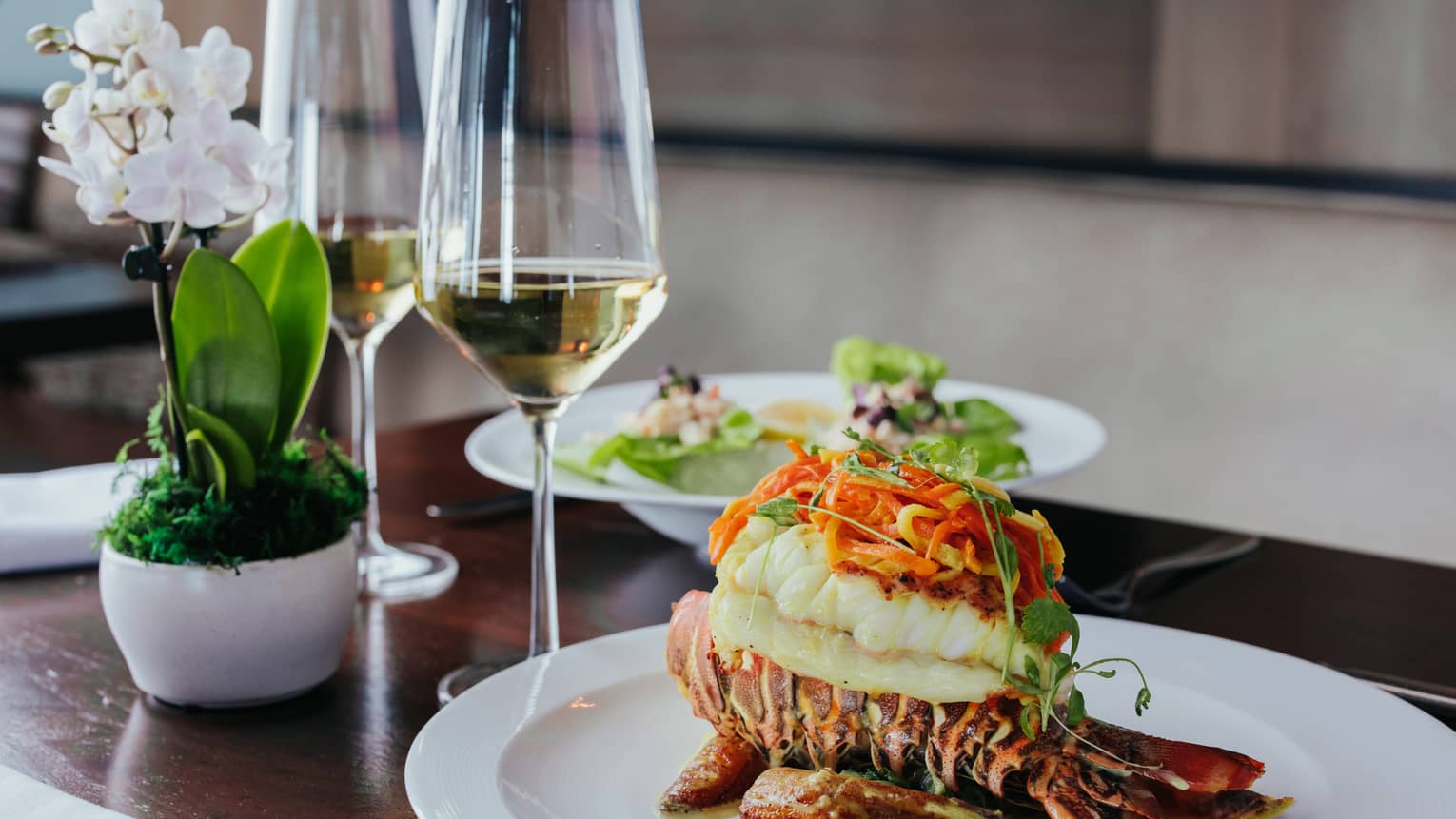 Lobster meal with wine