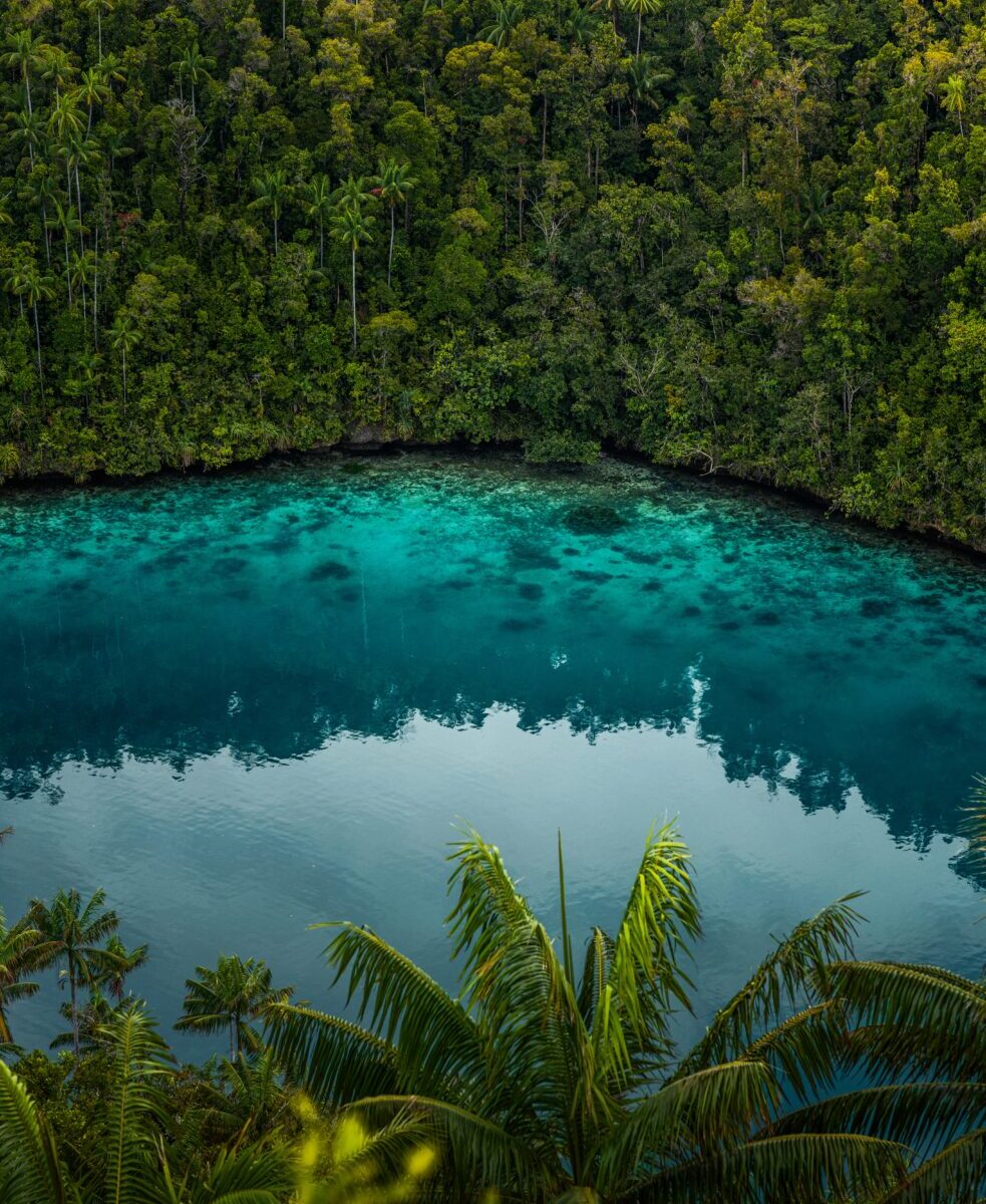 Raja Ampat, Papua Barat ocean simon-spring-sPWA29VTgLk-unsplash