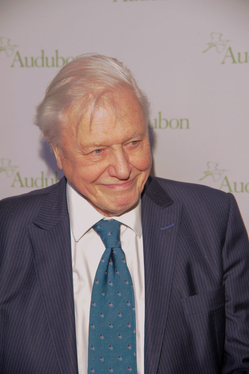 David Attenborough at 100