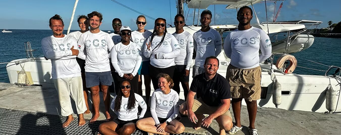 Ocean Awards 2026 Winner-Caribbean Cetacean Society