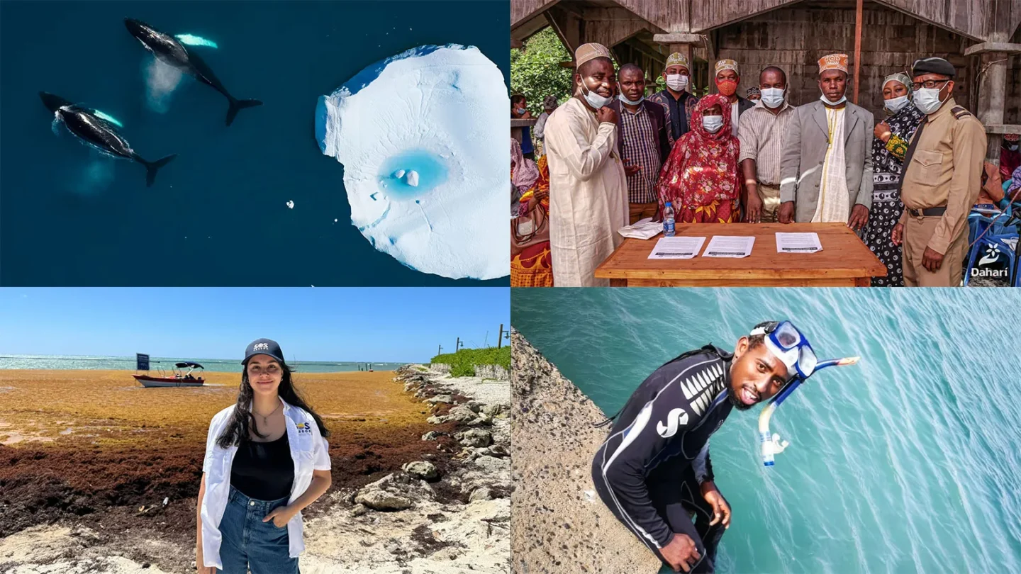 positive ocean news