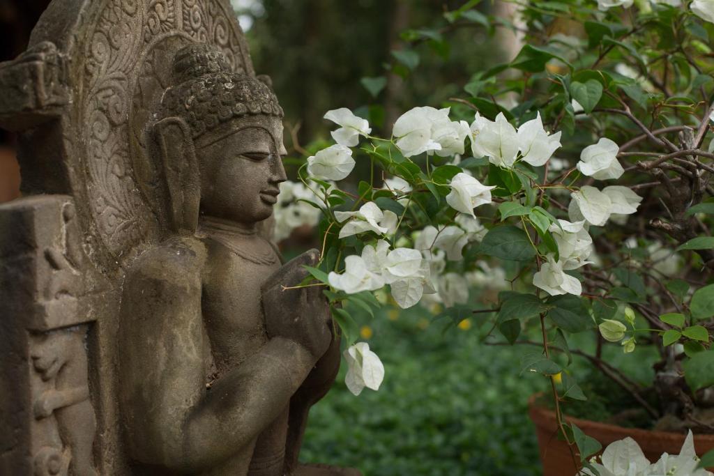 somatheeram kerala ayurveda resort india